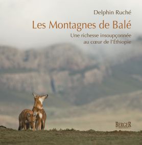 Les montagnes de Bal : une richesse insouponne au coeur de l'thiopie